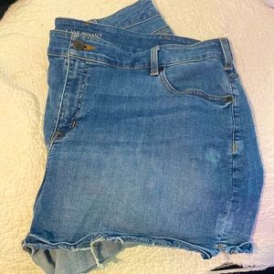 Lane Bryant Denim Shorts